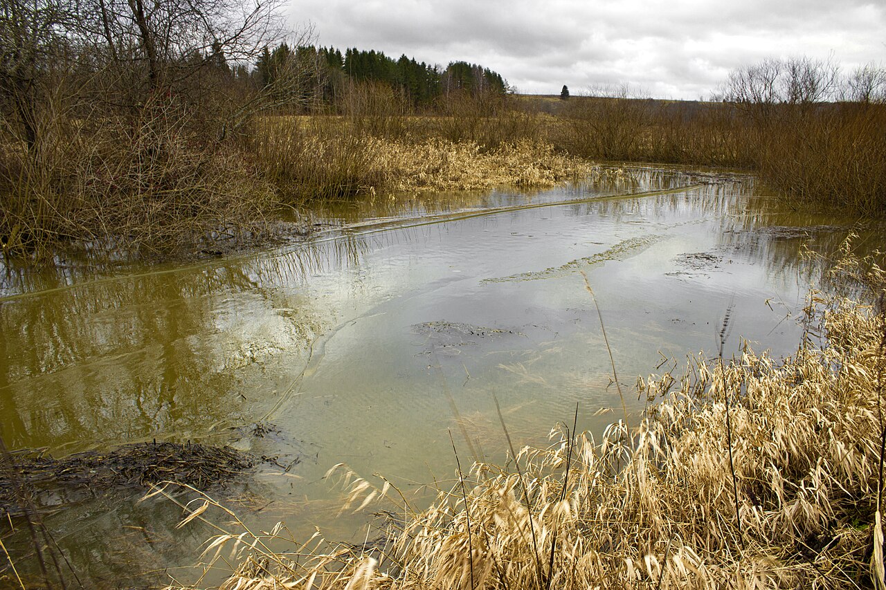 Abava Valley