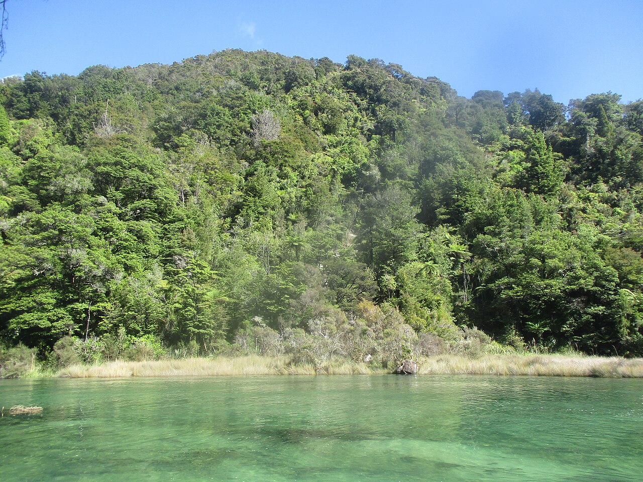 Abel Tasman National Park