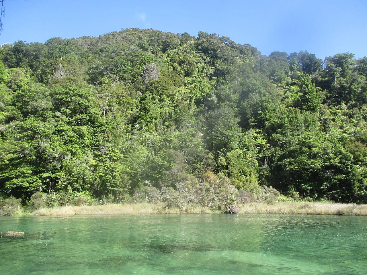 Abel Tasman National Park