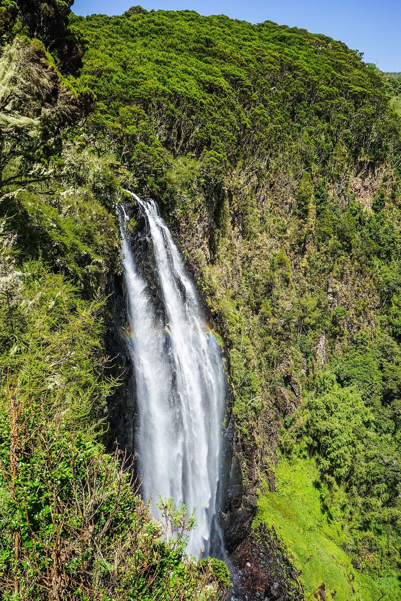 Aberdare National Park