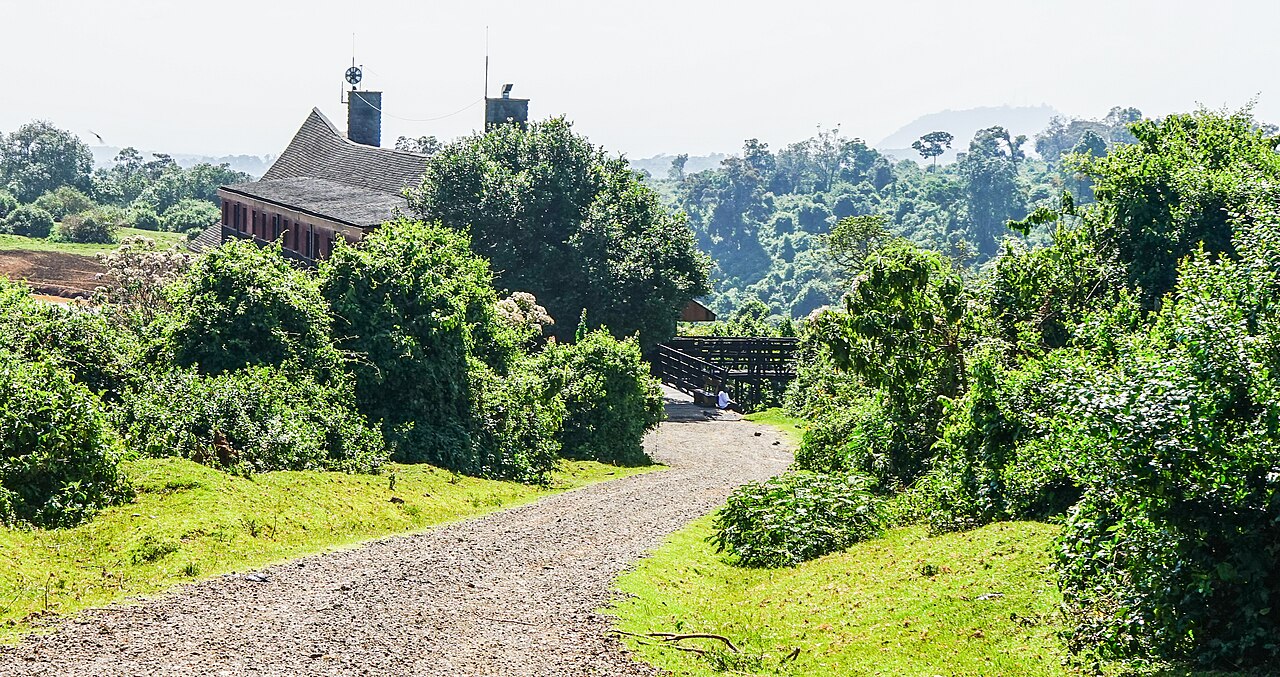 Aberdare National Park