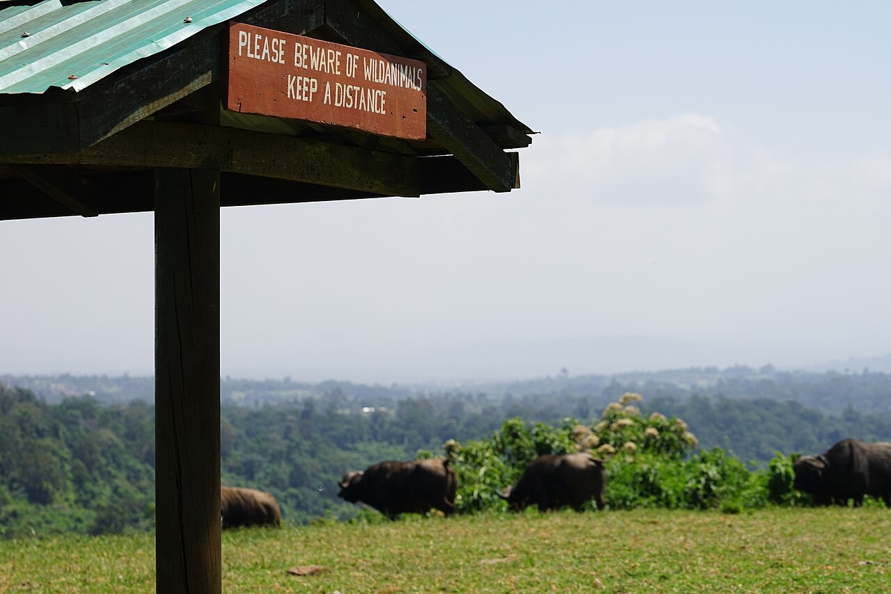 Aberdare National Park