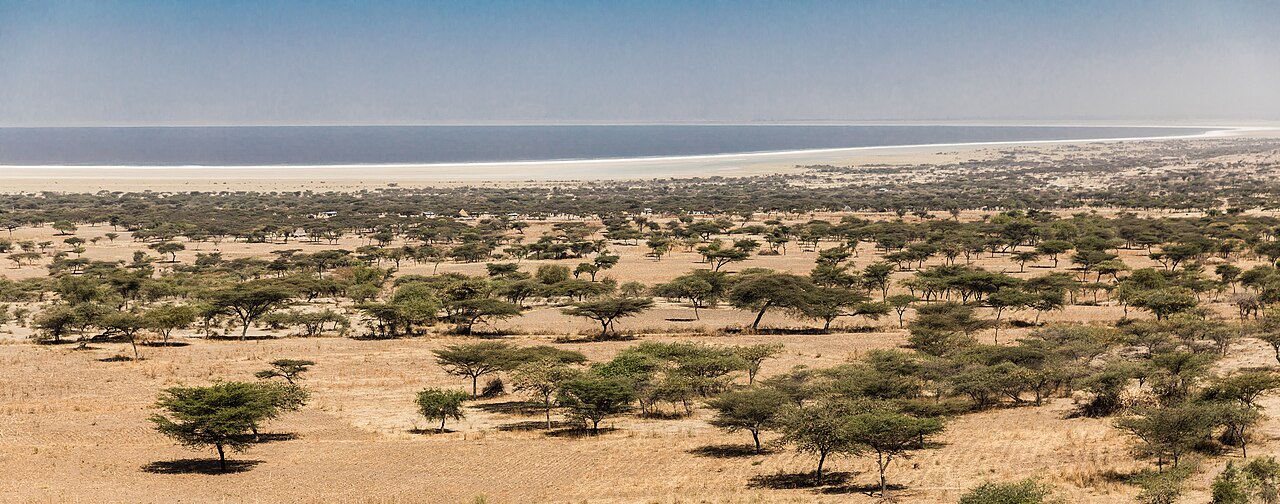 Abijatta-Shalla National Park