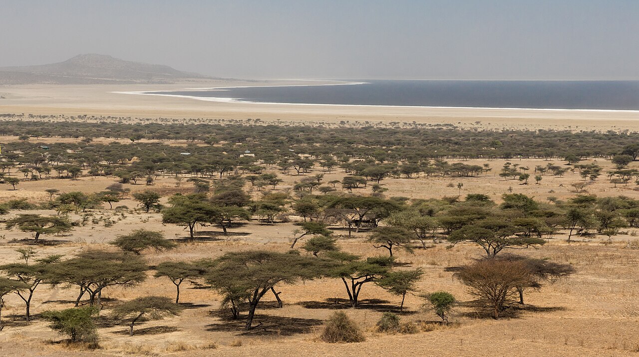 Abijatta-Shalla National Park