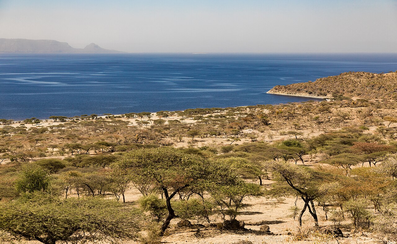 Abijatta-Shalla National Park