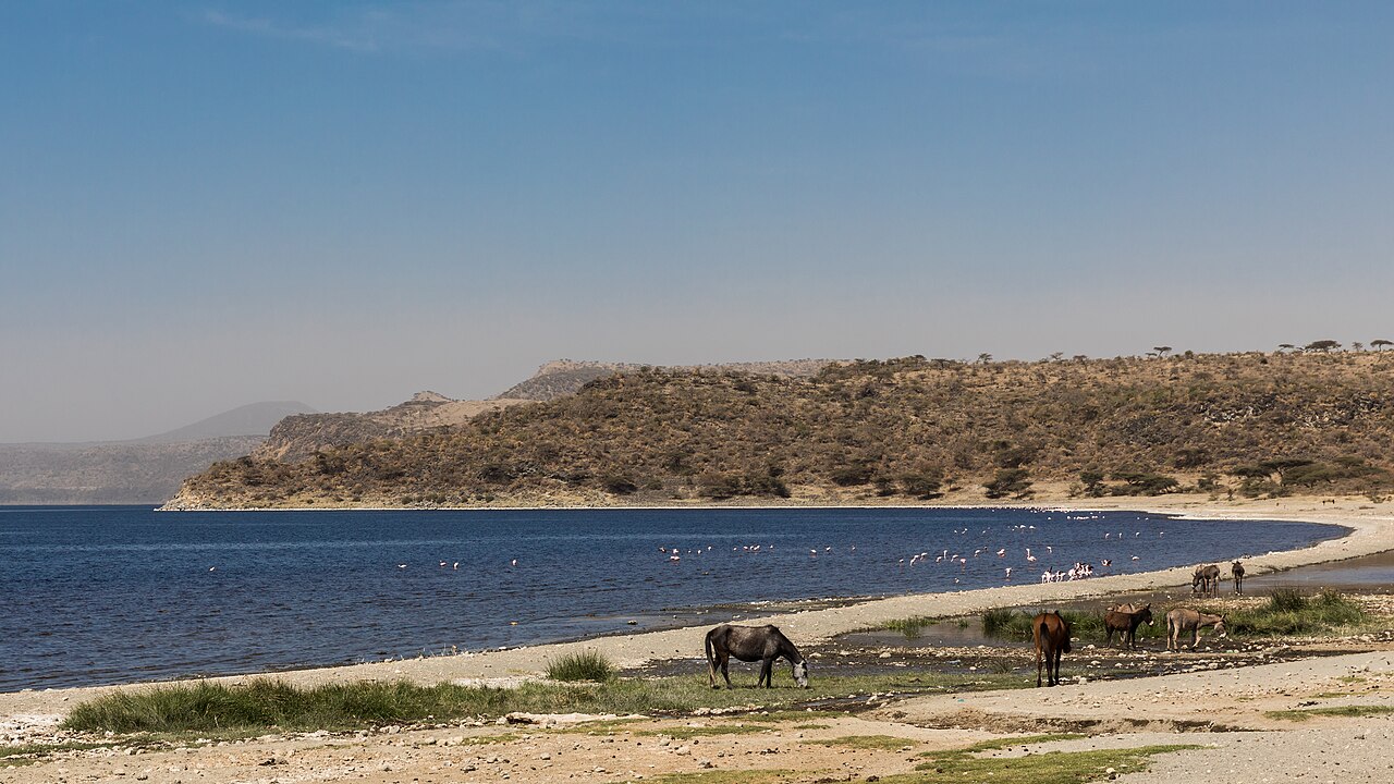 Abijatta-Shalla National Park