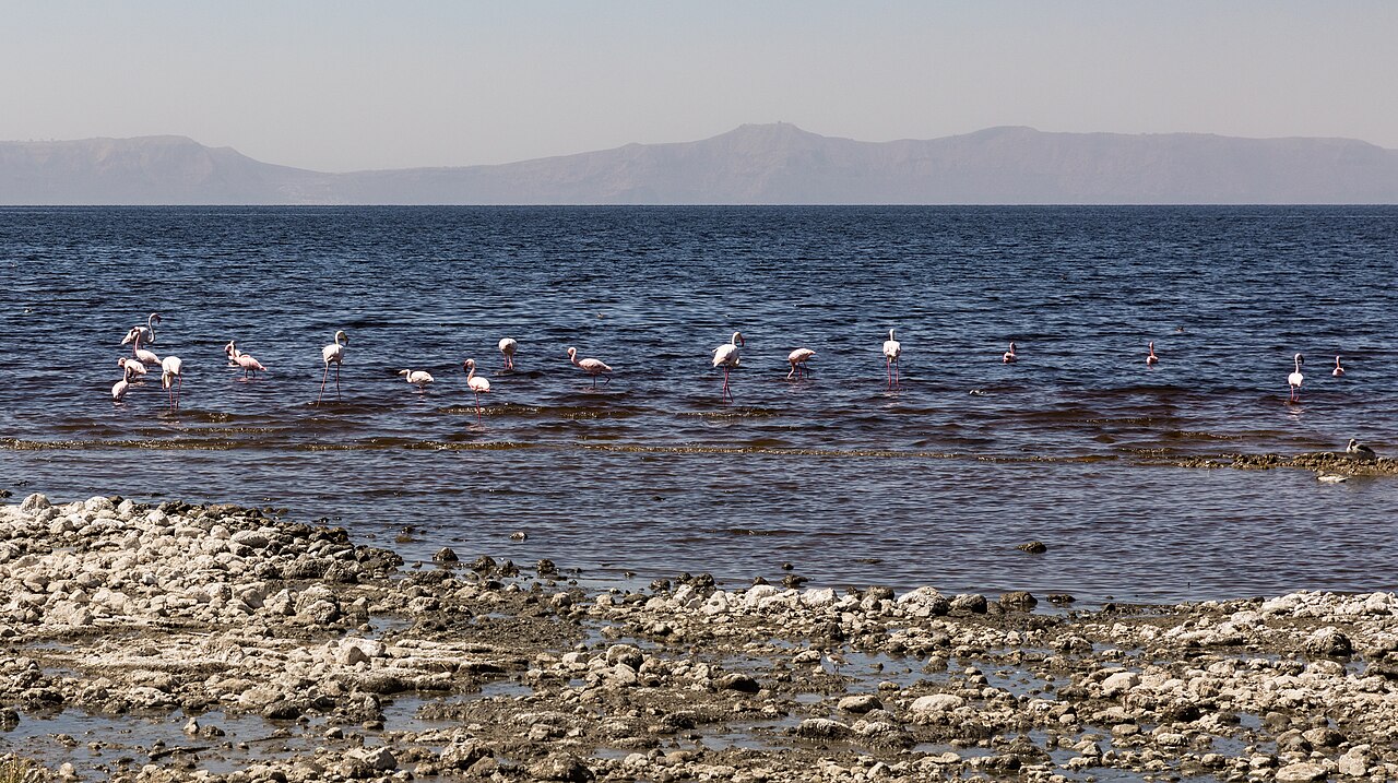Abijatta-Shalla National Park