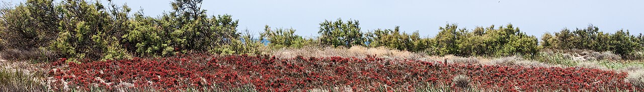 Absheron National Park
