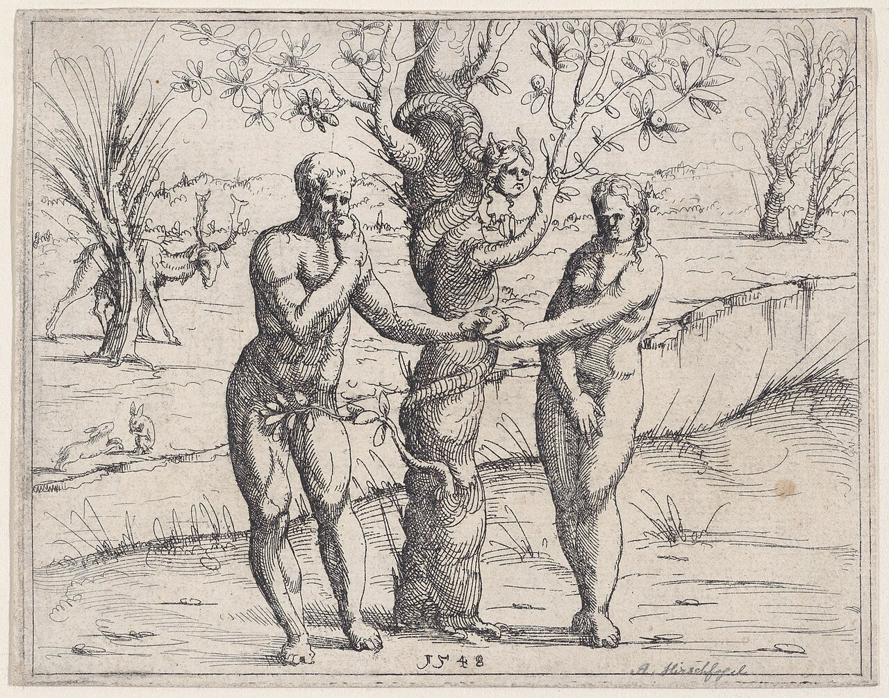 Forbidden fruit