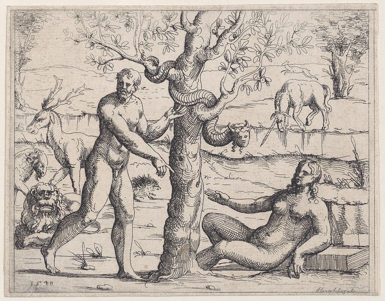 Forbidden fruit