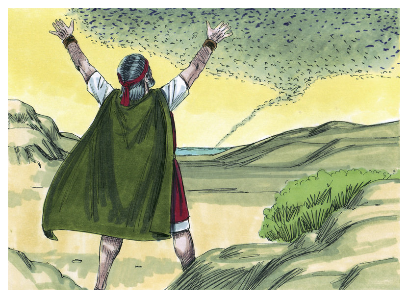 The Exodus