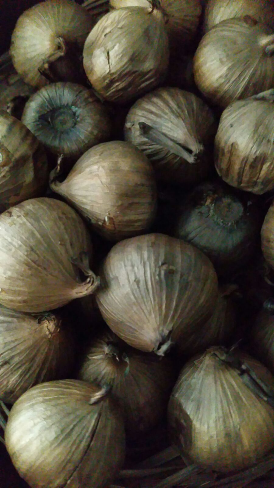 Black garlic