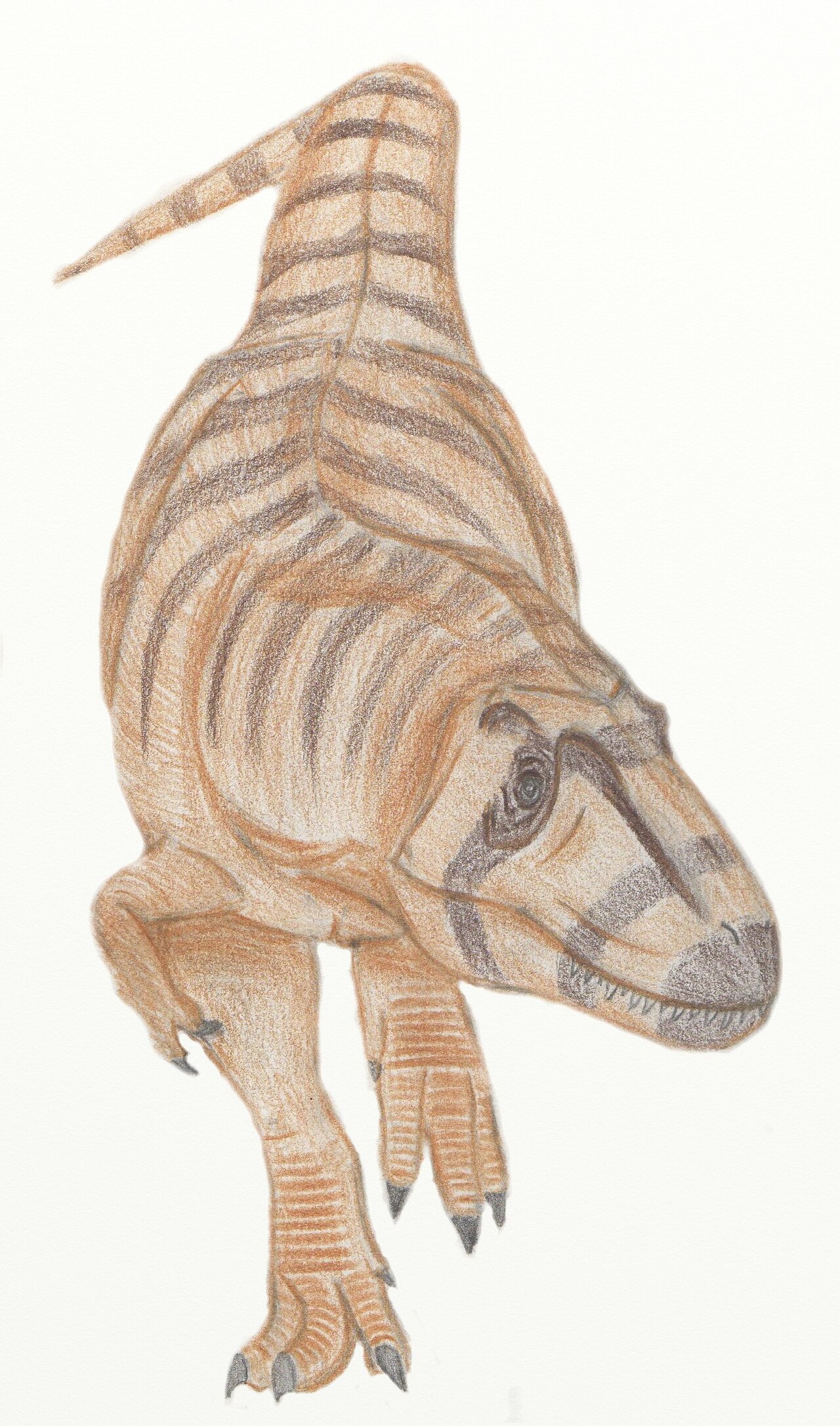 Alectrosaurus