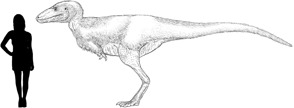 Alectrosaurus