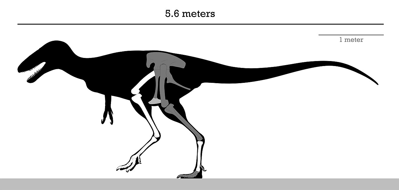 Alectrosaurus