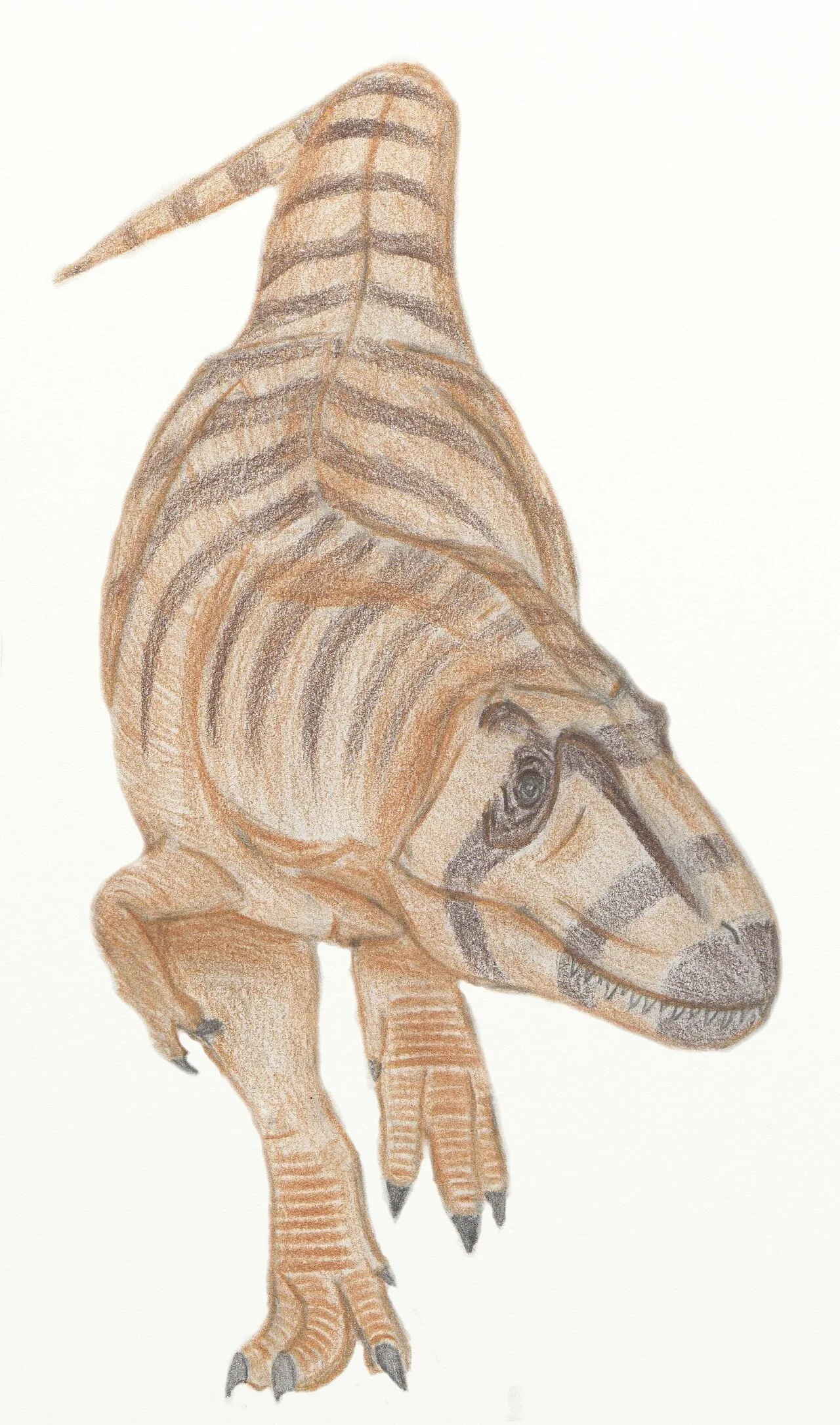 Alectrosaurus