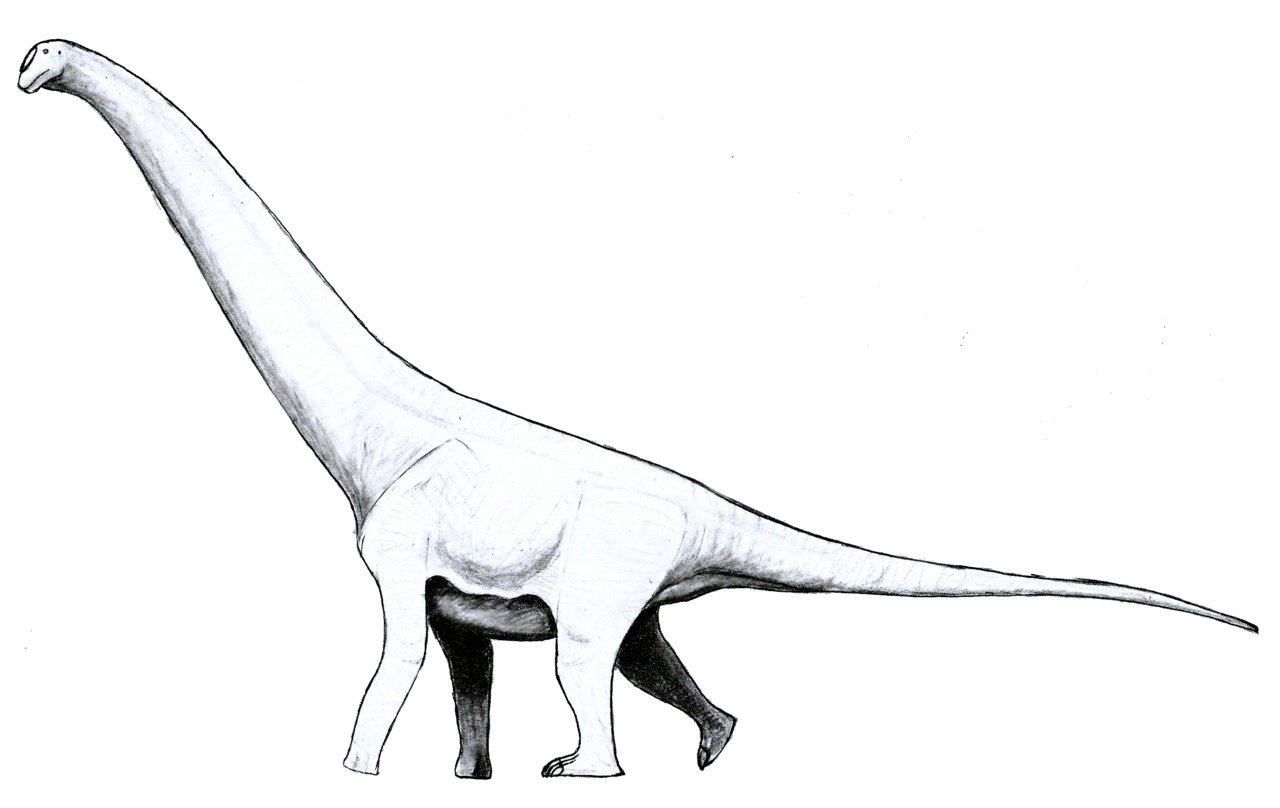 Atacamatitan