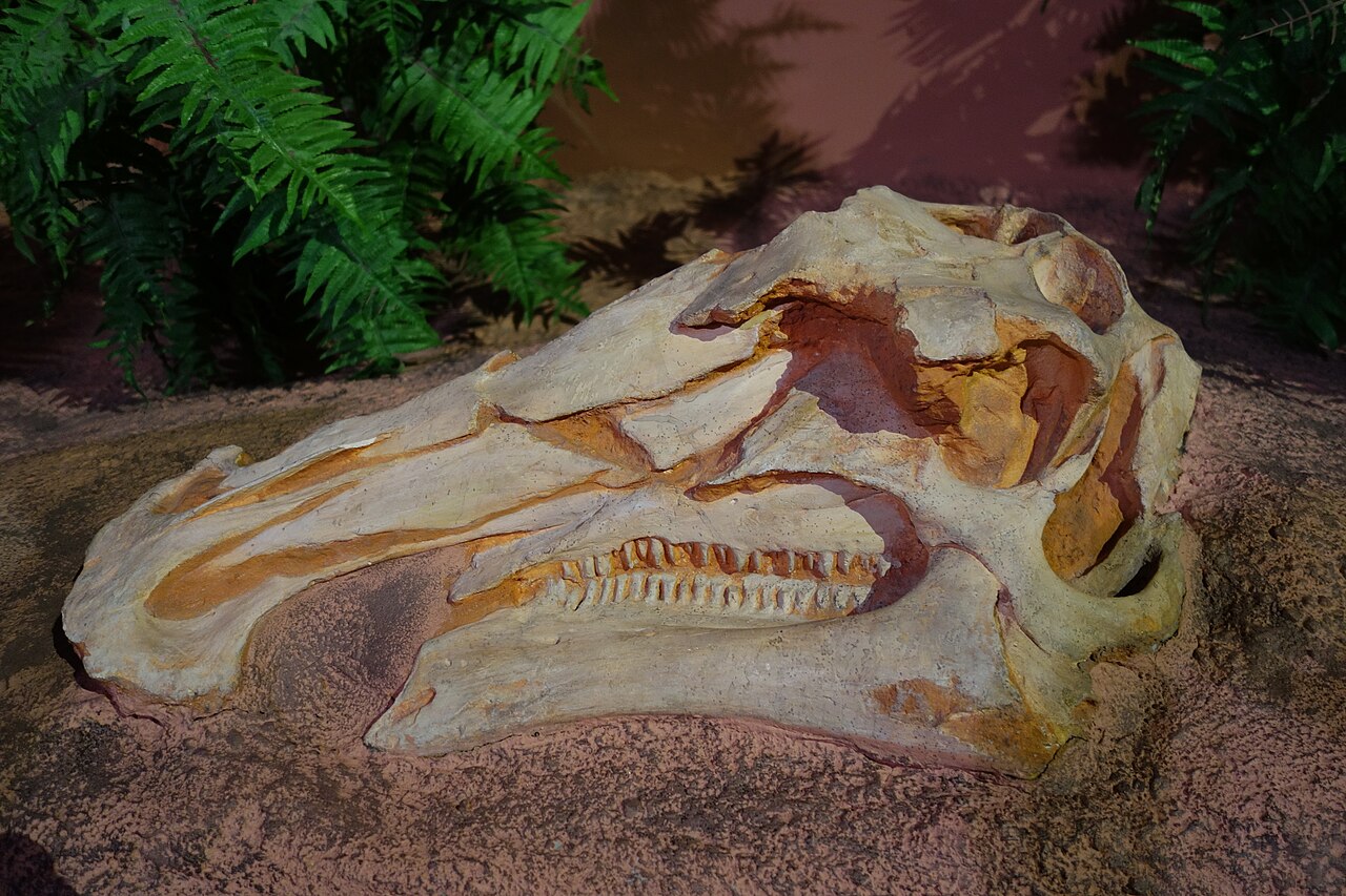 Bactrosaurus