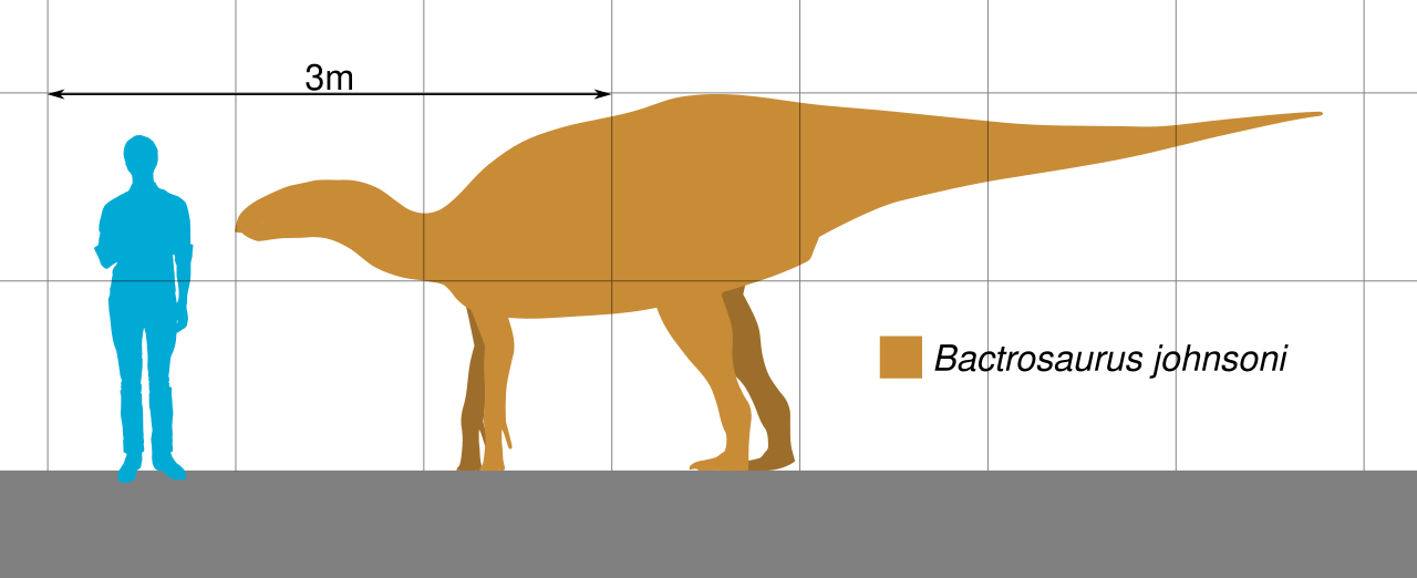 Bactrosaurus