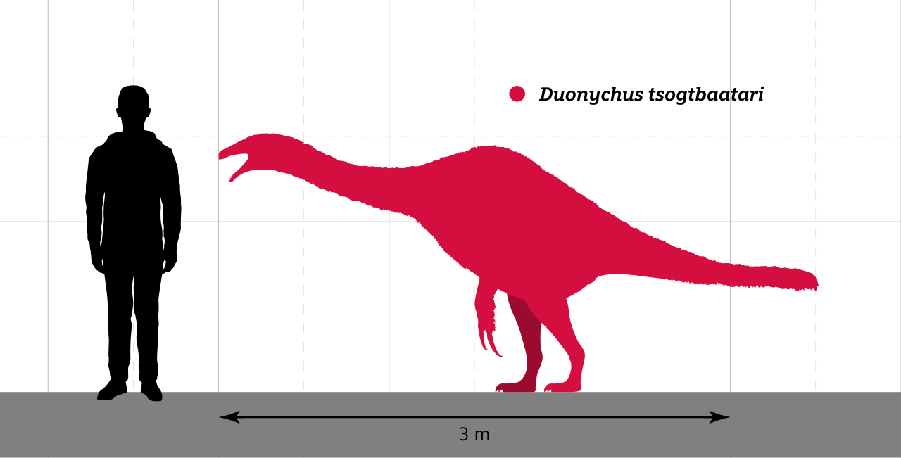 Duonychus