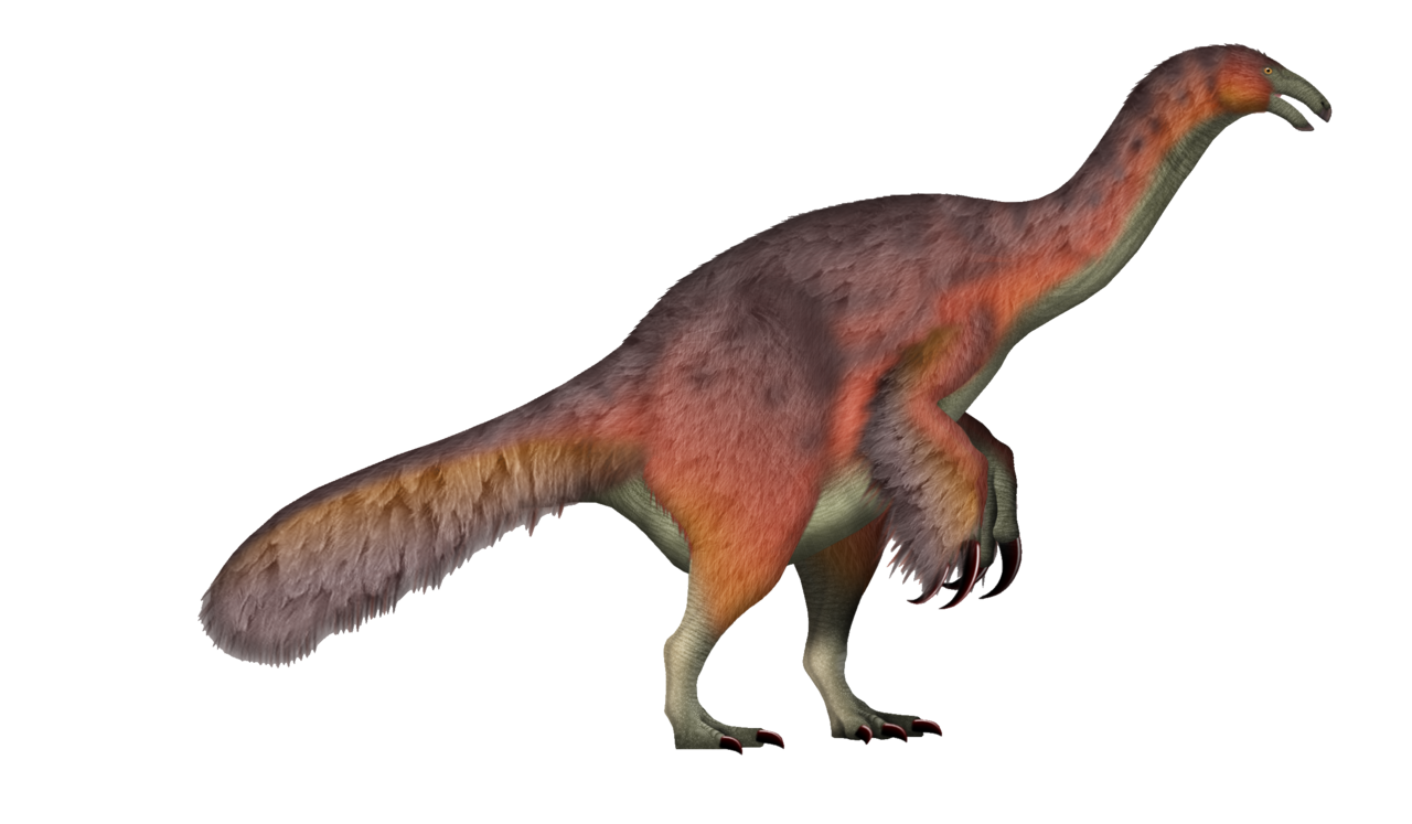 Duonychus