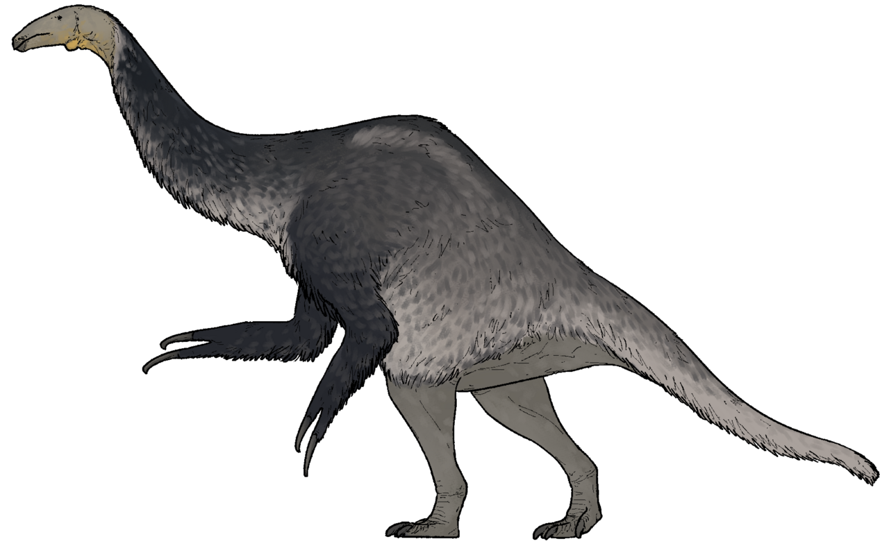 Duonychus