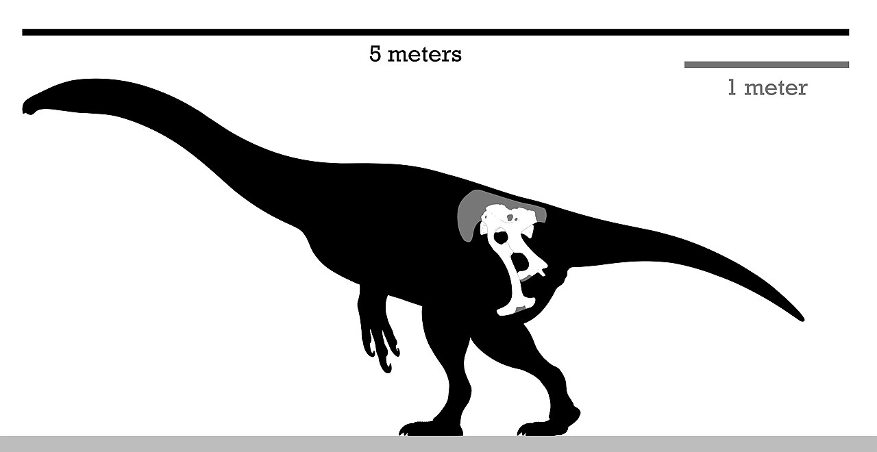 Enigmosaurus
