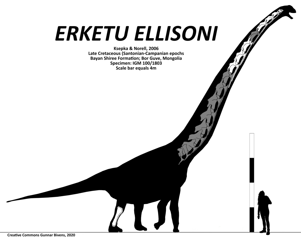 Erketu