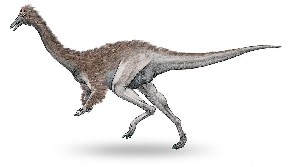 Garudimimus