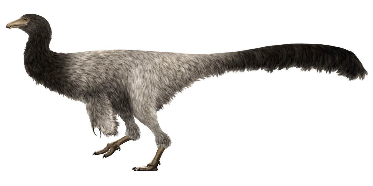 Garudimimus