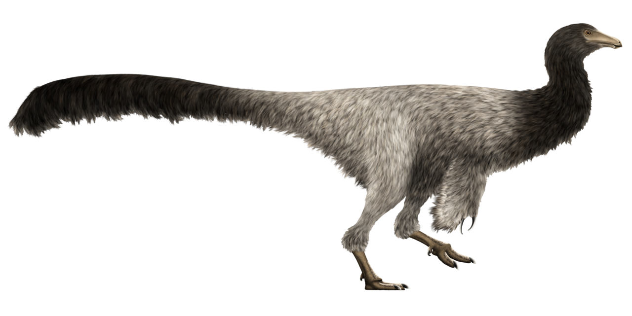 Garudimimus