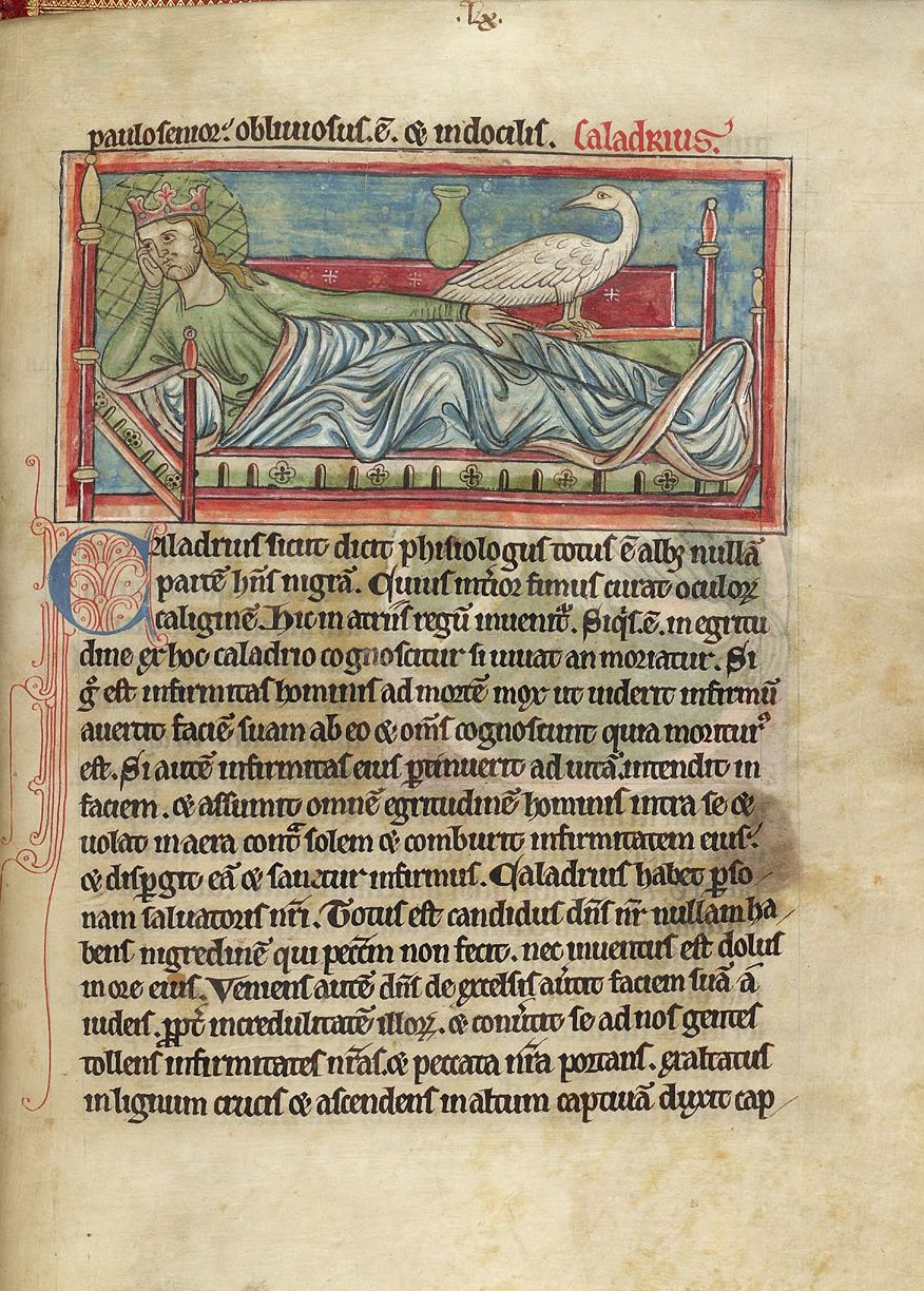 Caladrius