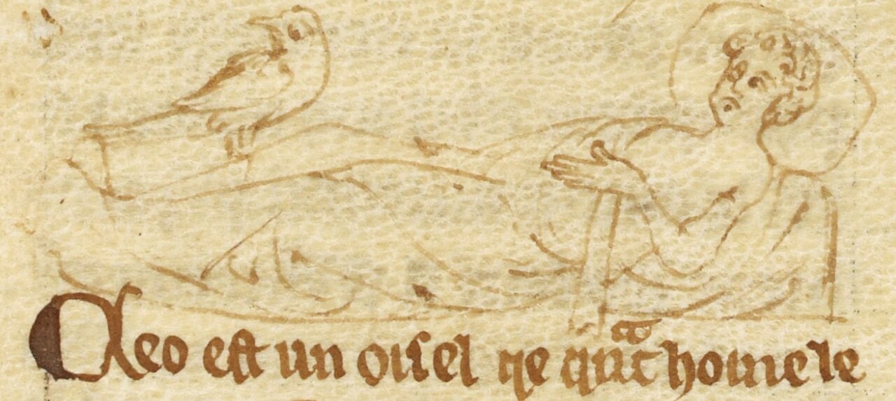 Caladrius