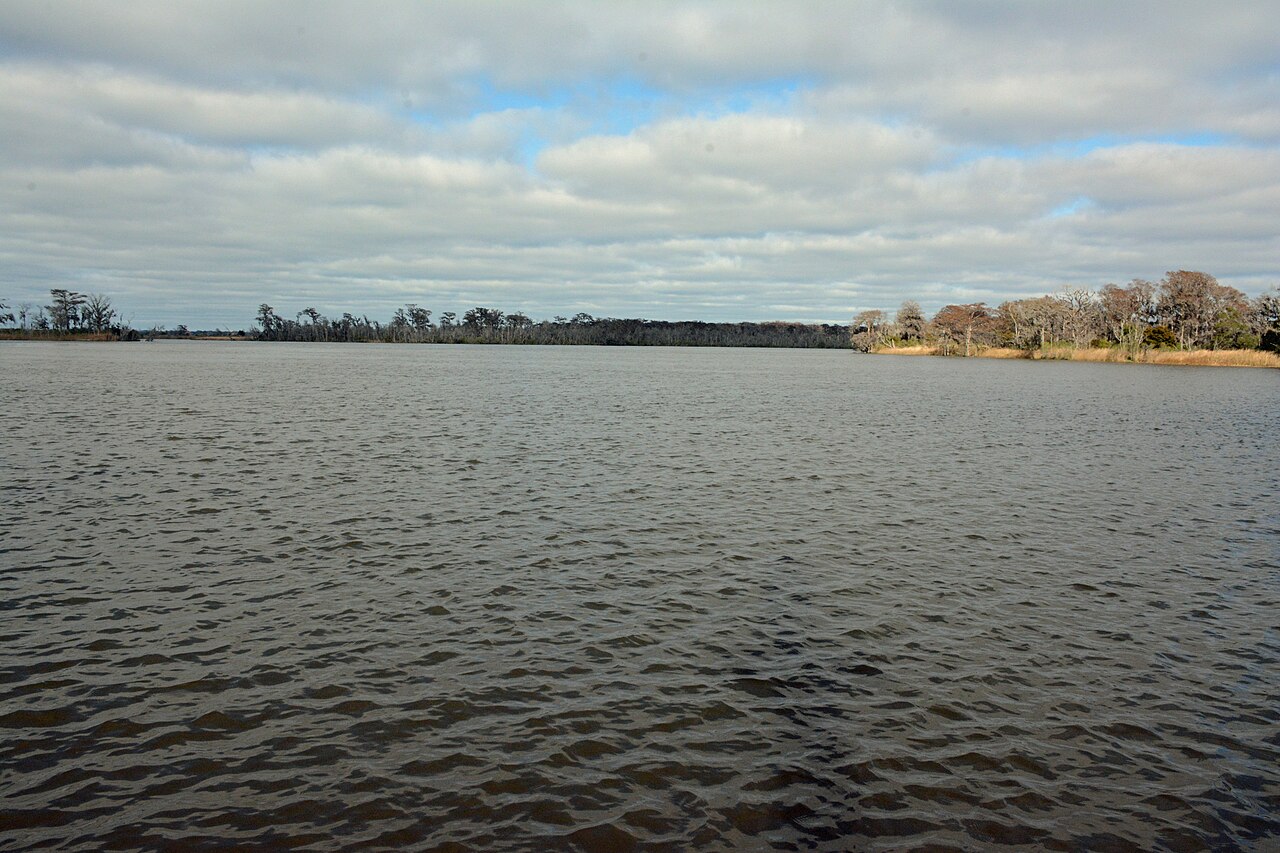 Altamaha-ha