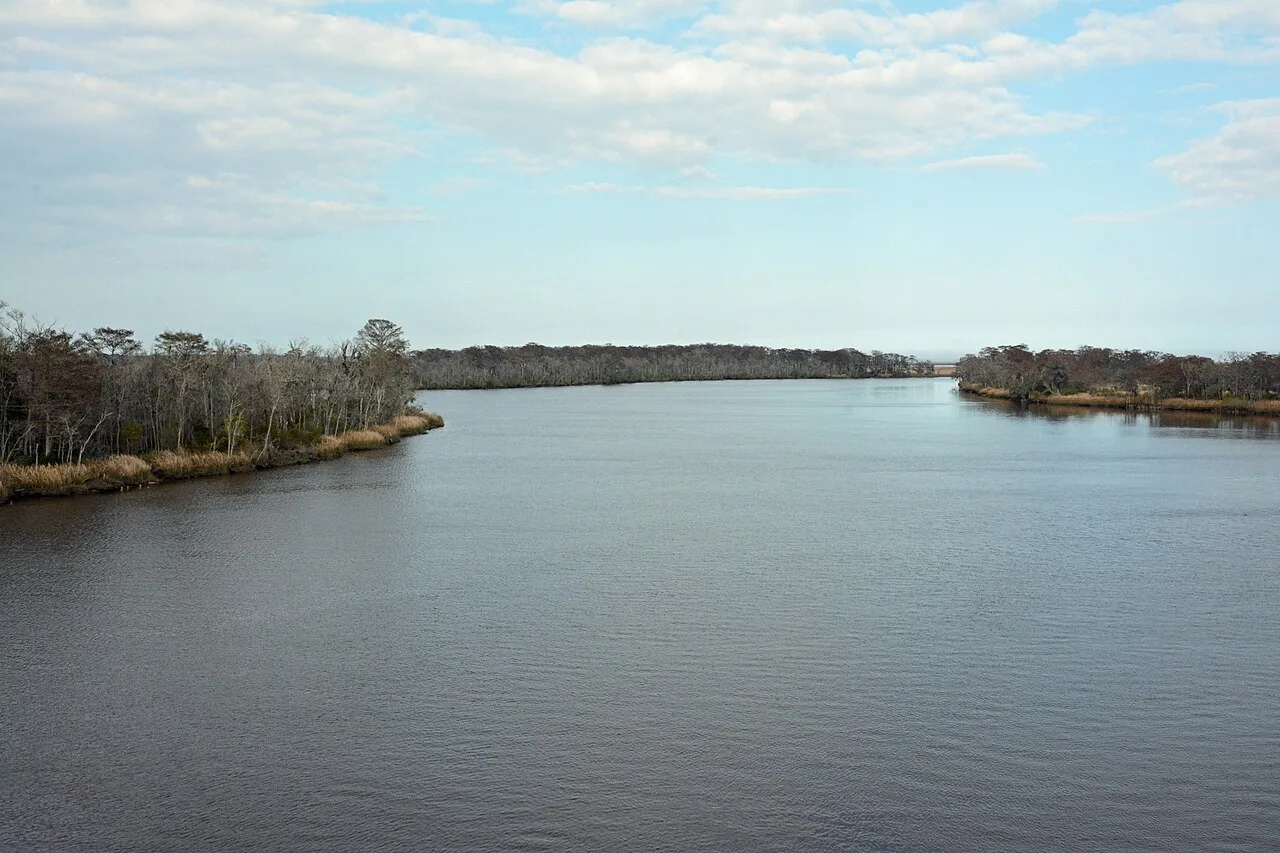 Altamaha-ha
