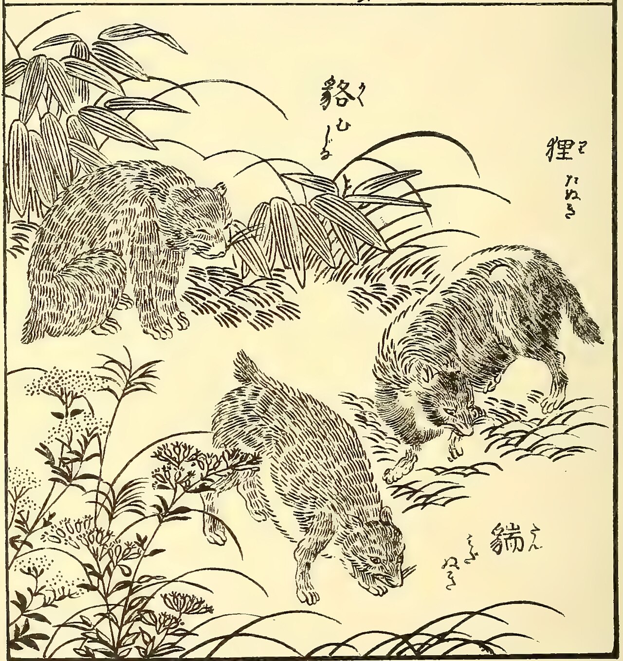 Bake-danuki