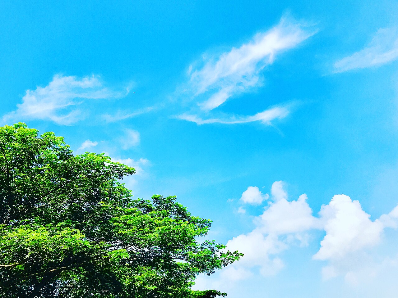 After Blue