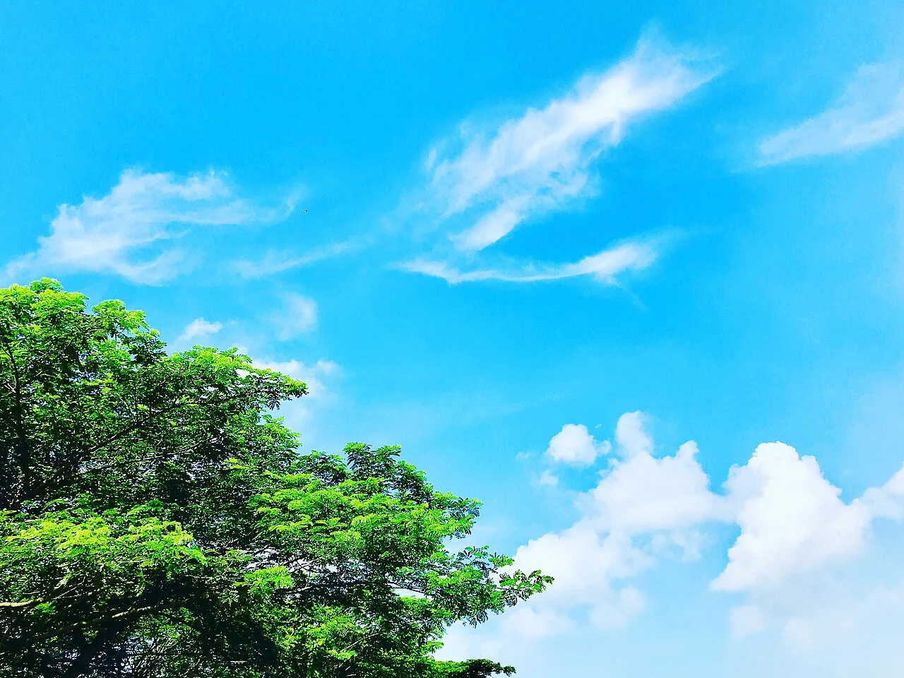 After Blue