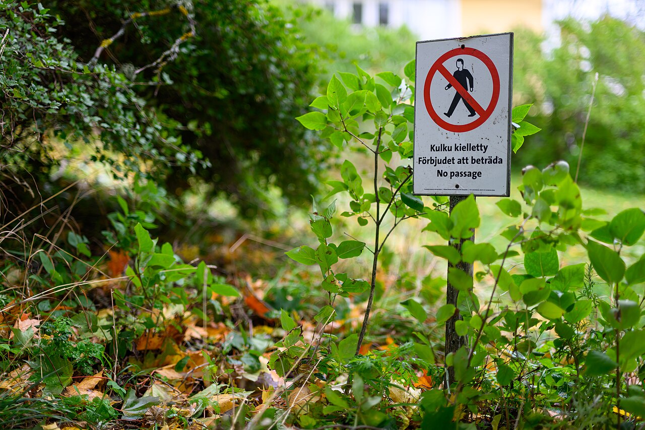Forbidden Zone