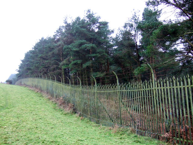 Forbidden Zone
