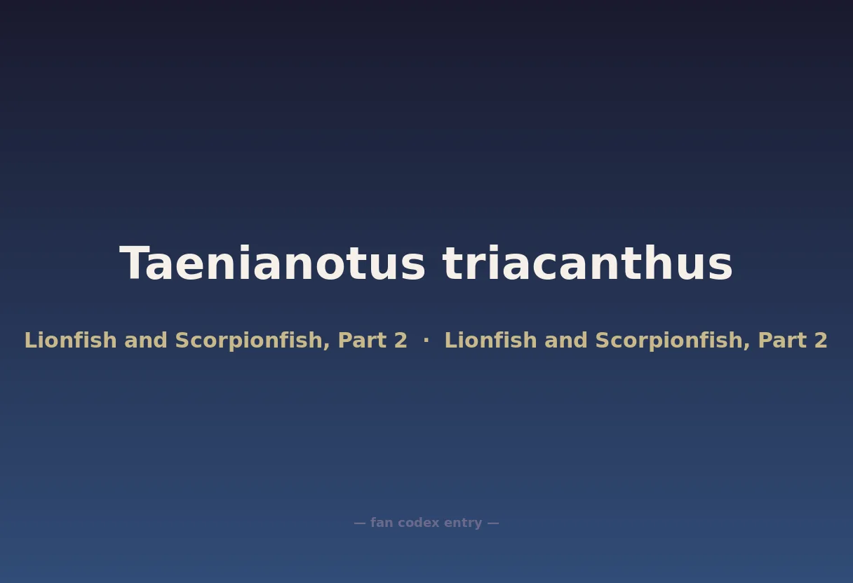 Taenianotus triacanthus