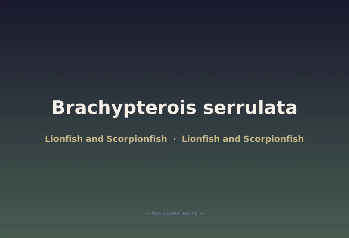 Brachypterois serrulata