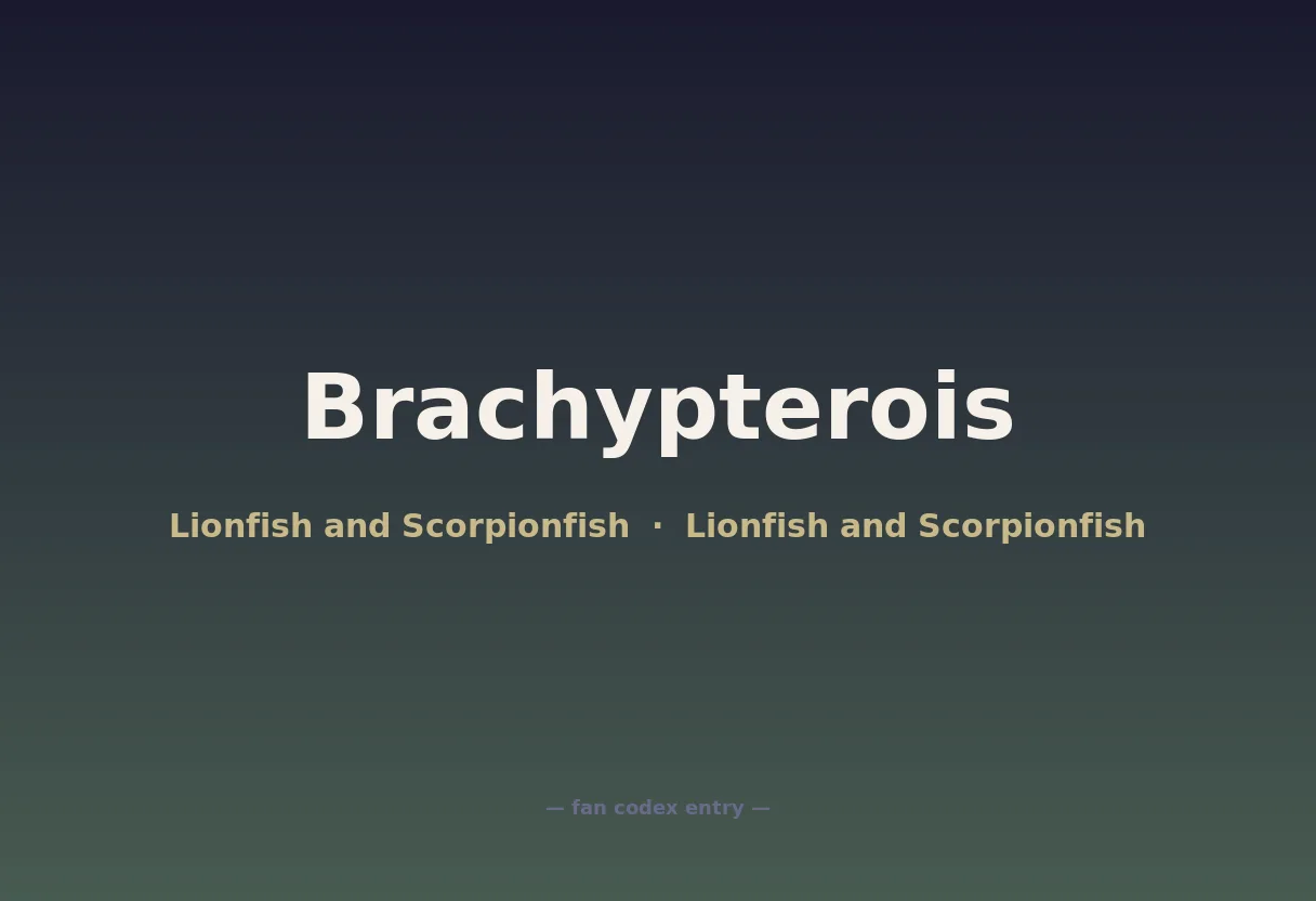 Brachypterois