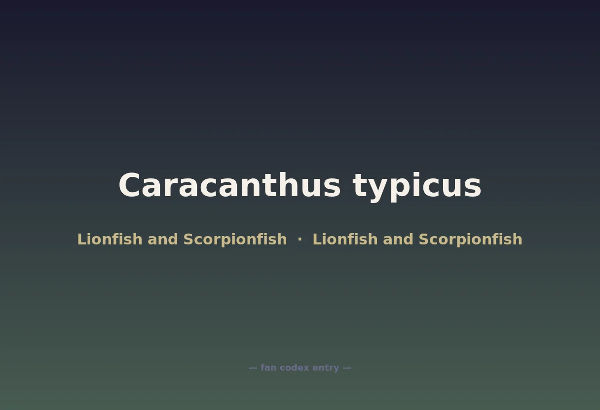 Caracanthus typicus
