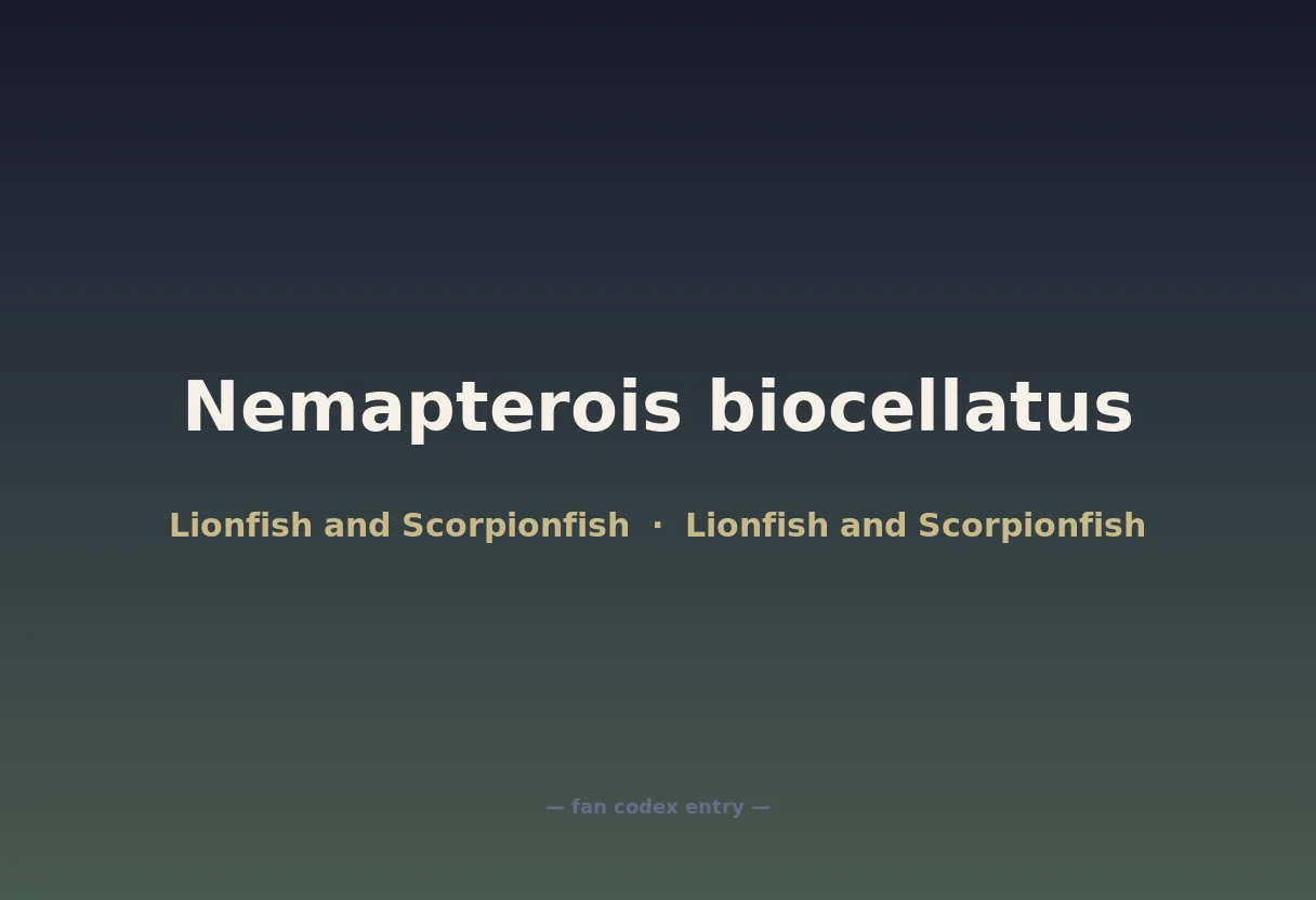 Nemapterois biocellatus