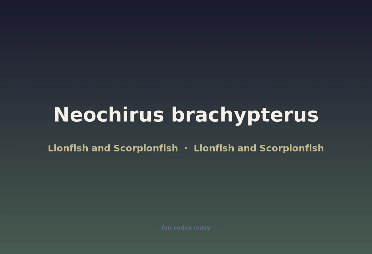 Neochirus brachypterus