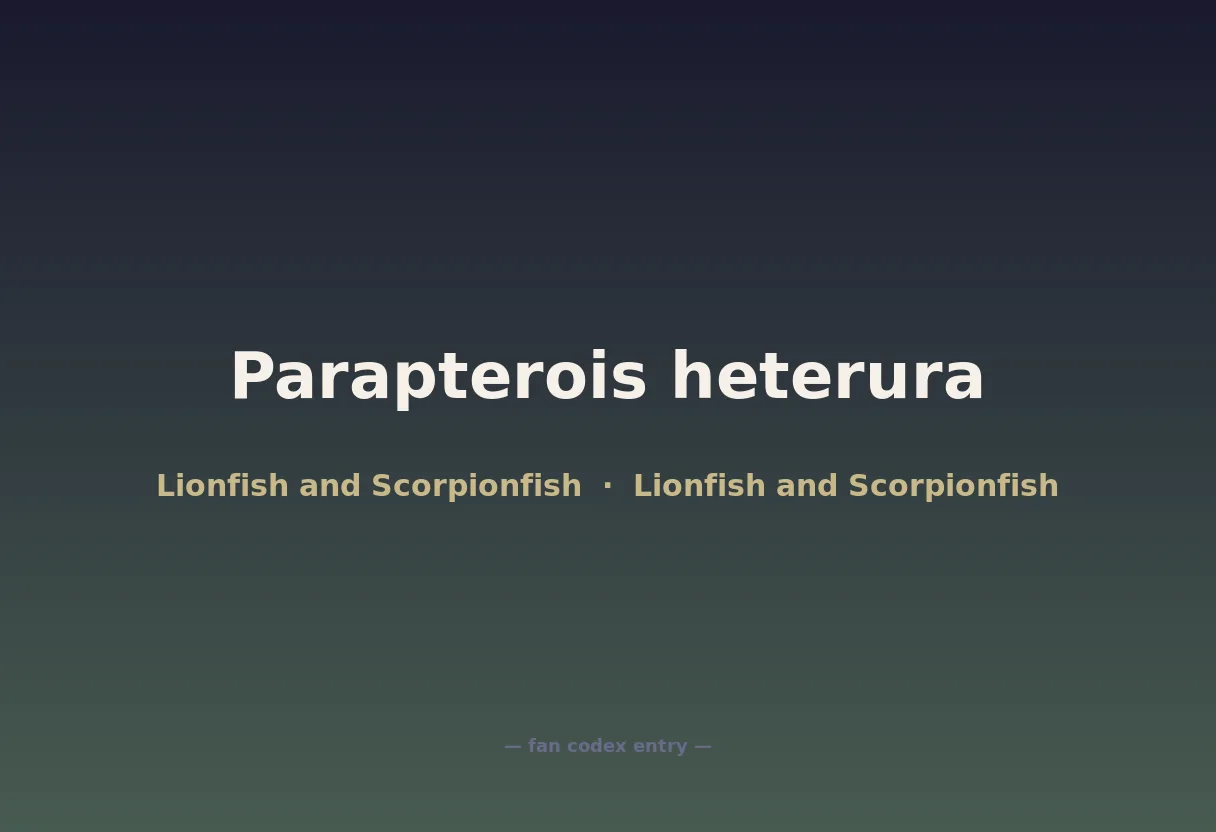 Parapterois heterura