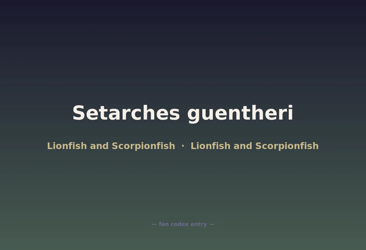 Setarches guentheri