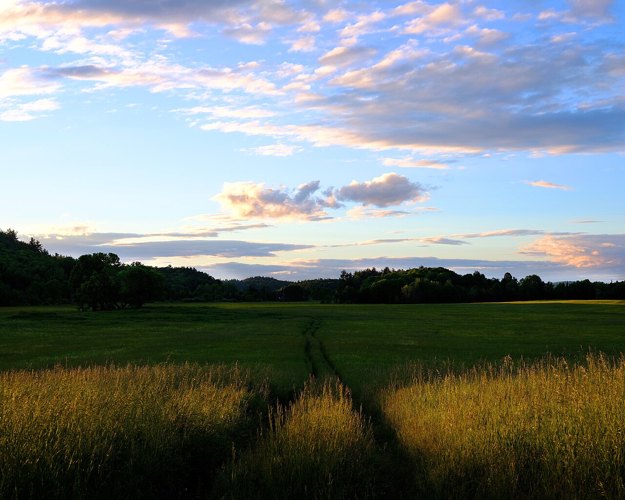 Hidden Valley (film)