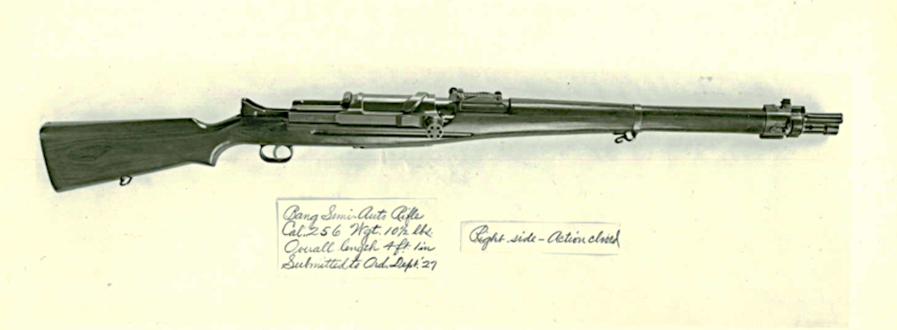 Automatic rifle